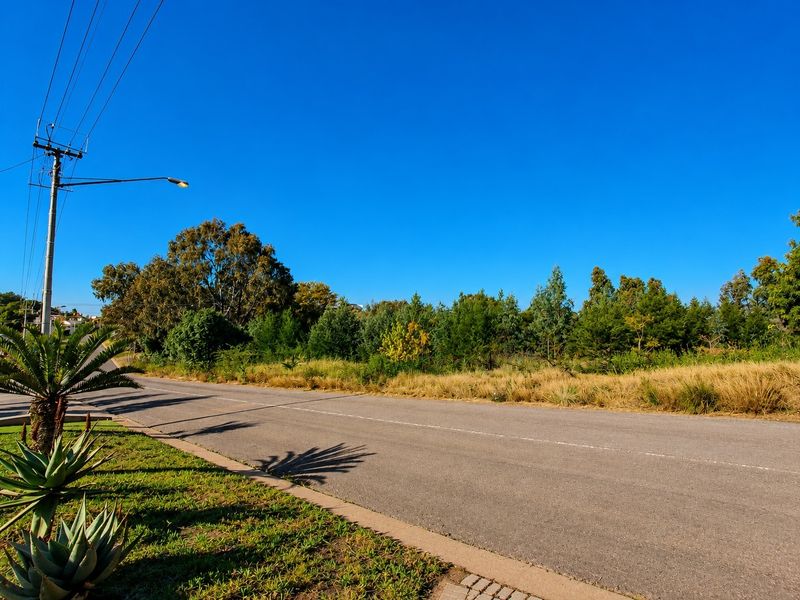 A view of the asphalt street frontage and adjacent vacant land, featuring established trees, native grasses, and existing utility infrastructure.