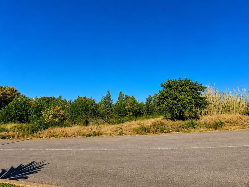A view of the asphalt road frontage adjacent to the vacant residential land, featuring established trees and natural vegetation.
