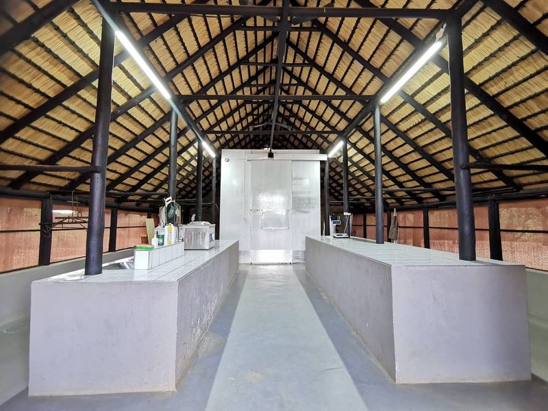 A functional farm utility space featuring a high-pitched thatch roof, exposed timber trusses, tiled prep counters, and a built-in walk-in cold storage unit.