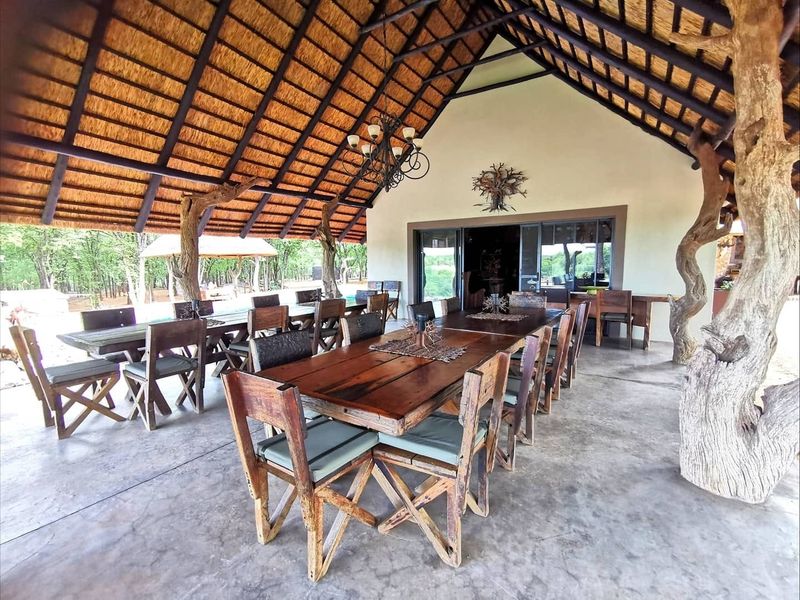 Spacious covered outdoor patio featuring a high thatched roof with exposed timber trusses, concrete flooring, and integrated natural tree trunk support columns.