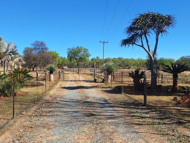 A gravel driveway leading to a metal entrance gate on a farm property, surrounded by established trees and wire fencing.