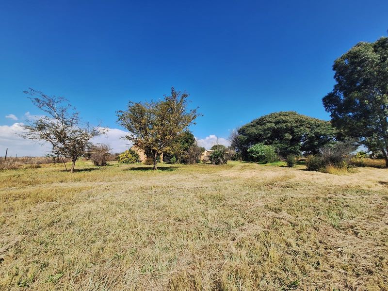 A wide-angle view of the expansive farm grounds featuring established trees and open grassland under a clear blue sky.