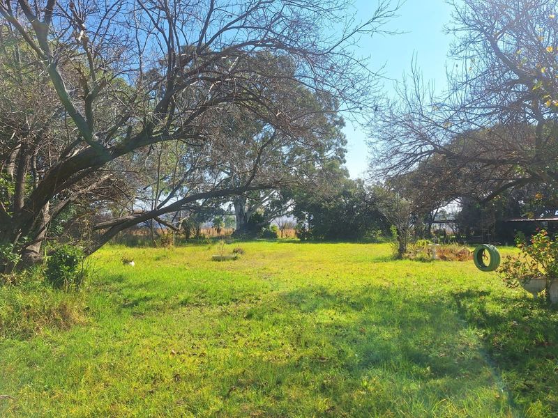 A spacious, open garden area on the farm property featuring established mature trees and a grass lawn.