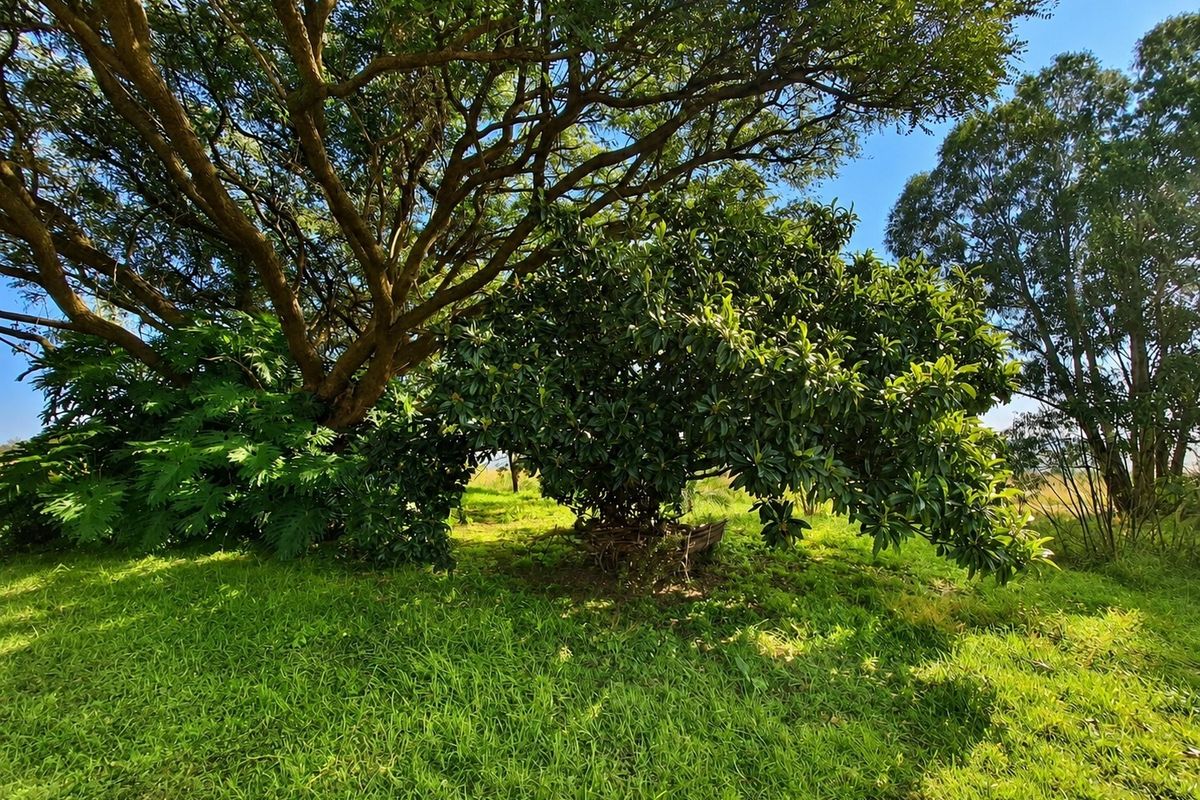 A lush, well-maintained garden area featuring mature trees and expansive green lawn, characteristic of a peaceful farm landscape.