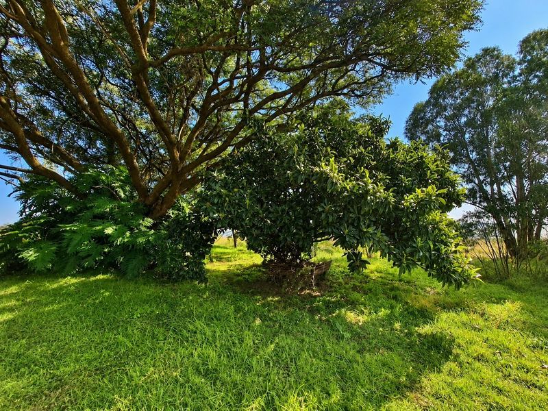 A lush, well-maintained garden area featuring mature trees and expansive green lawn, characteristic of a peaceful farm landscape.
