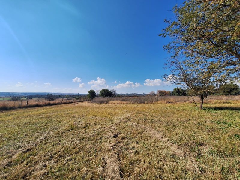 A wide-angle view of the open farm landscape featuring natural grassland and perimeter wire fencing under a clear blue sky.