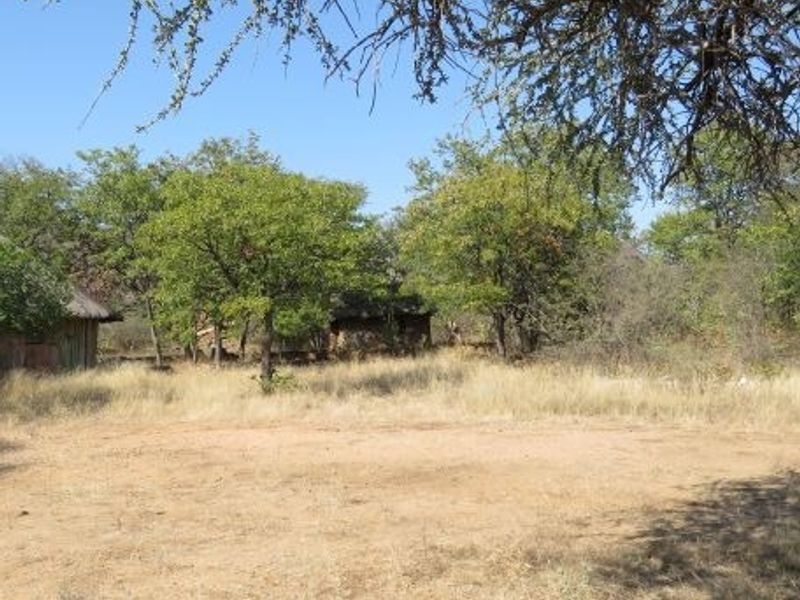 A view of the expansive farm grounds featuring natural vegetation, mature trees, and open cleared land.