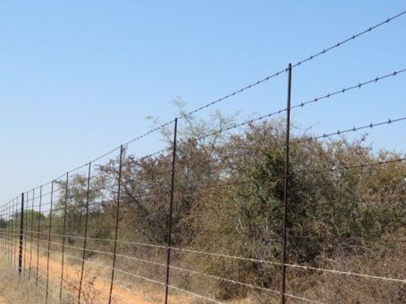 A view of the farm perimeter featuring a functional barbed wire fence line running alongside a dirt access track.