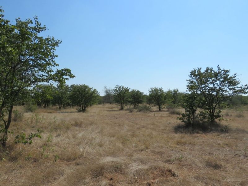 An expansive view of the natural, undeveloped farm landscape featuring native trees and dry grassland.