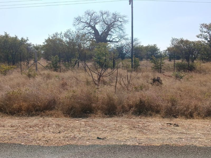 A view of the vacant residential land from the street, featuring natural vegetation, perimeter wire fencing, and an existing utility pole.