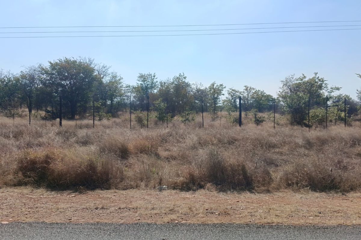 A view of a vacant residential plot featuring dry grass, native trees, and perimeter wire fencing along the roadside.