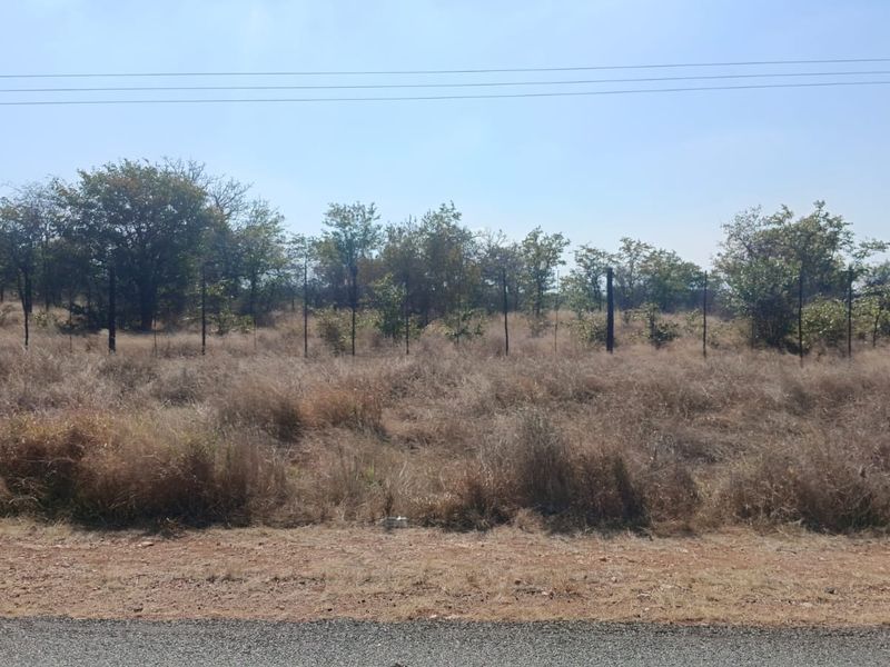 A view of a vacant residential plot featuring dry grass, native trees, and perimeter wire fencing along the roadside.