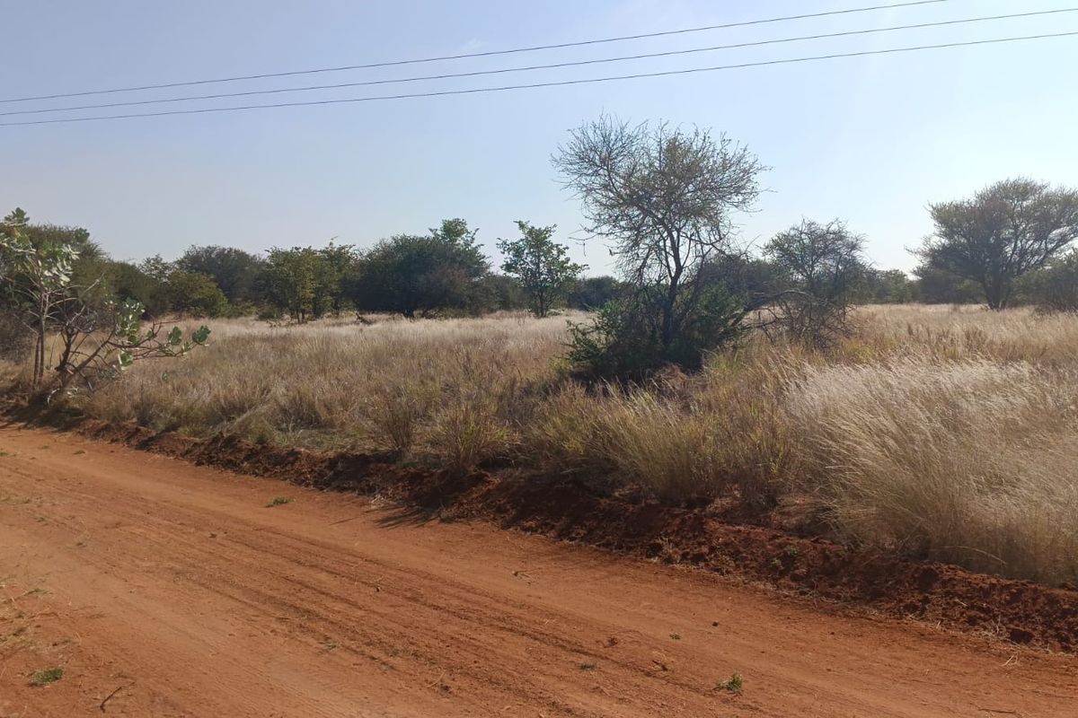 A view of a vacant residential plot from an adjacent dirt road, featuring natural vegetation and overhead utility infrastructure.