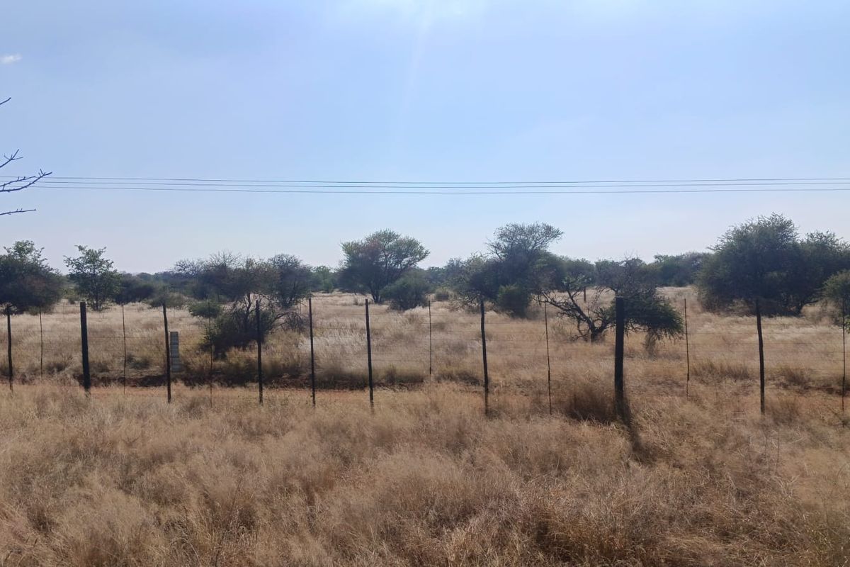 A view of a vacant residential plot featuring dry grass, native trees, and perimeter wire fencing with overhead power lines.