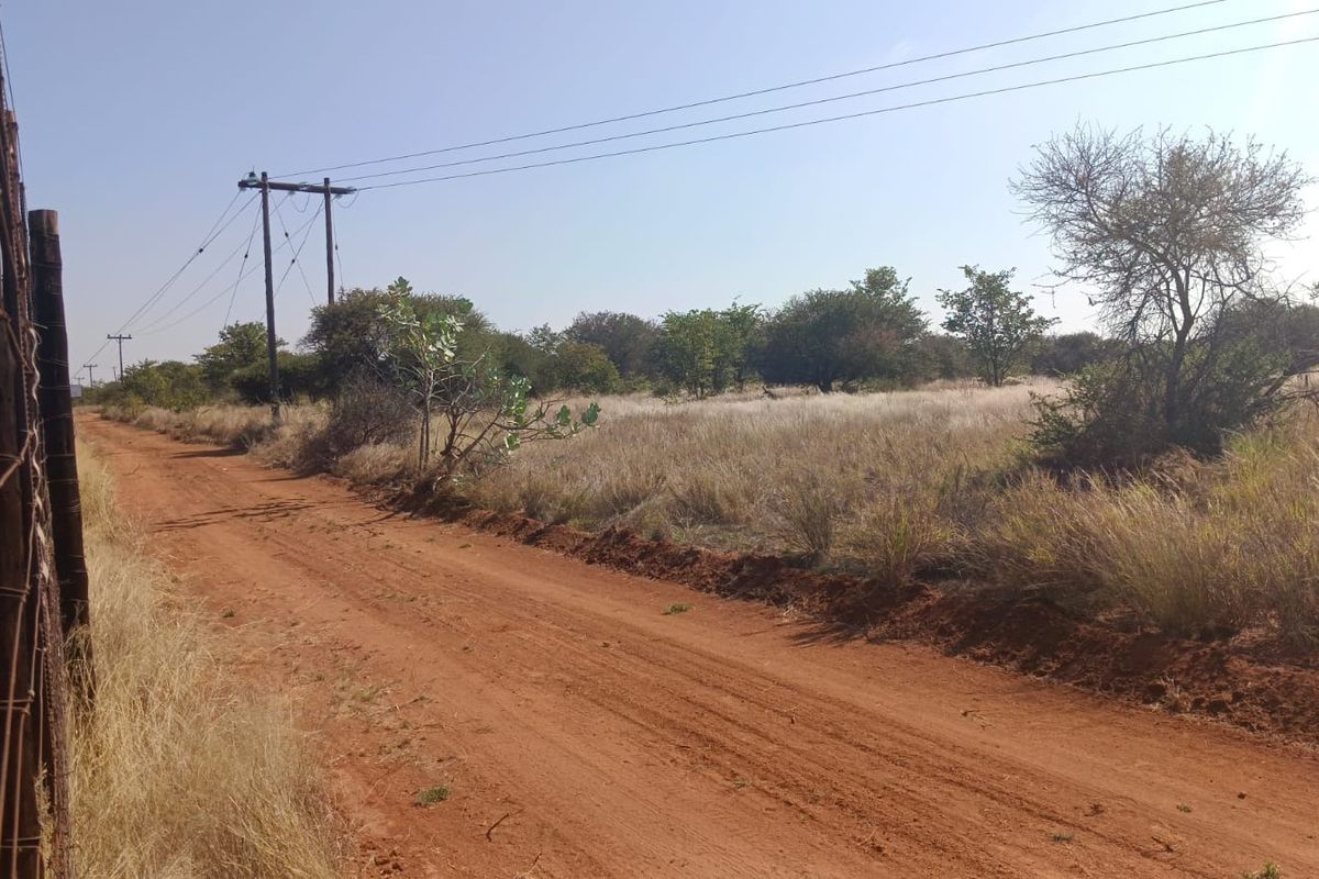 A view of a dirt access road bordering a vacant residential plot with native vegetation and overhead utility infrastructure.