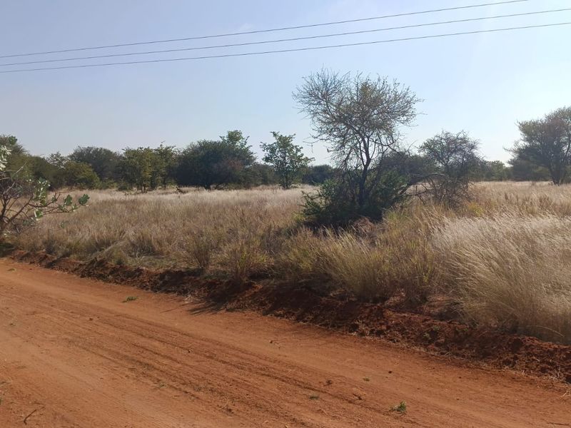 A view of a vacant residential plot from an adjacent dirt road, featuring natural vegetation and overhead utility infrastructure.