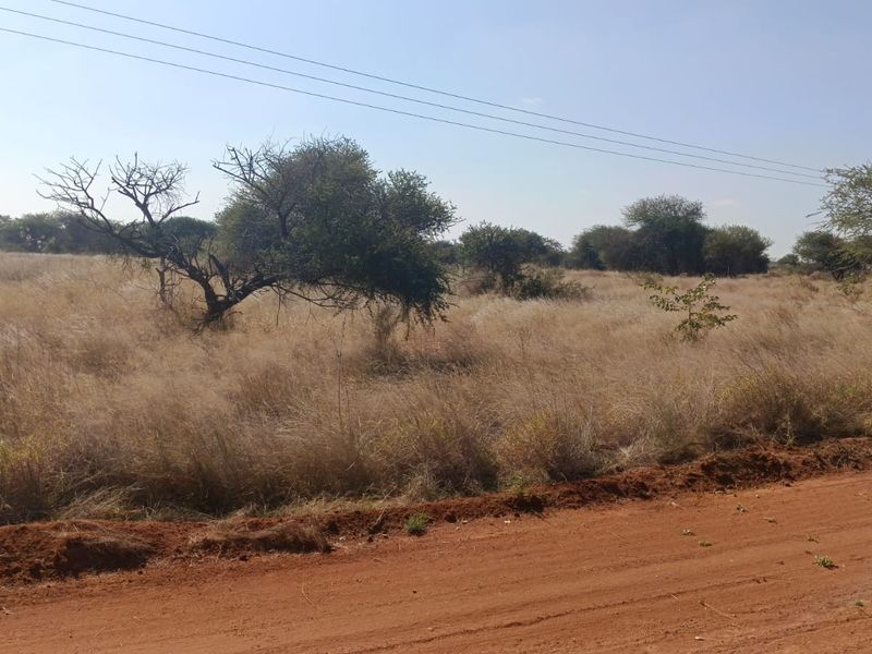 A view of a vacant residential plot featuring natural vegetation, native trees, and access via an unpaved road with overhead power lines.