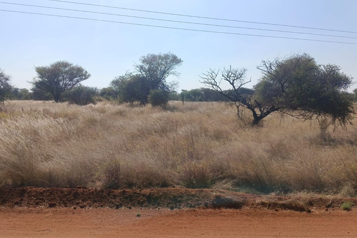 A view of a vacant residential plot featuring natural grassland and scattered native trees, accessible from a dirt road.