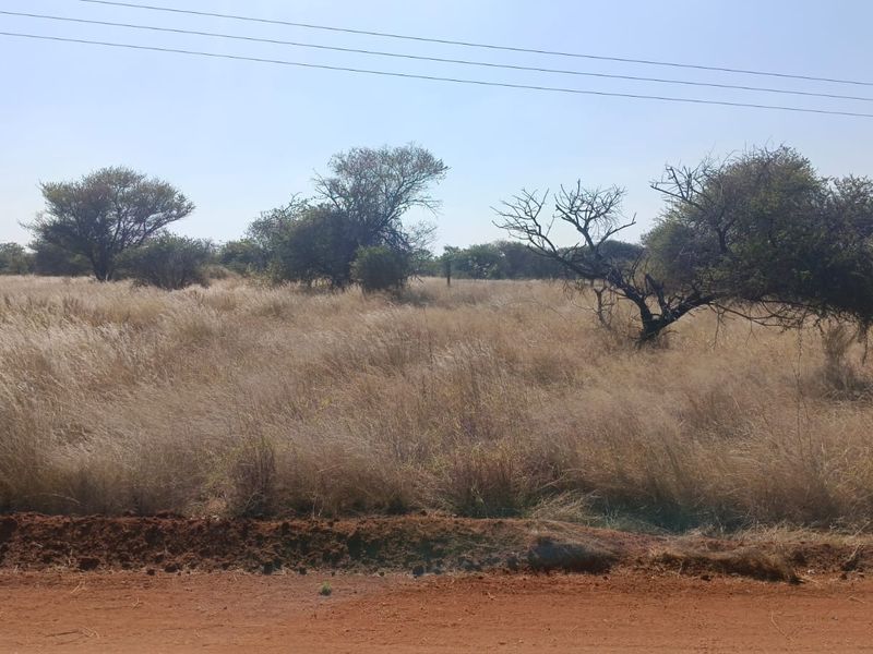 A view of a vacant residential plot featuring natural grassland and scattered native trees, accessible from a dirt road.