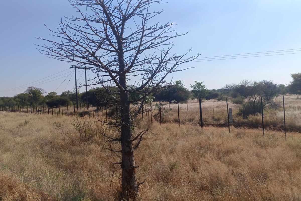 A view of the vacant residential land featuring perimeter fencing and overhead utility infrastructure.