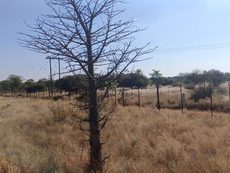 A view of the vacant residential land featuring perimeter fencing and overhead utility infrastructure.