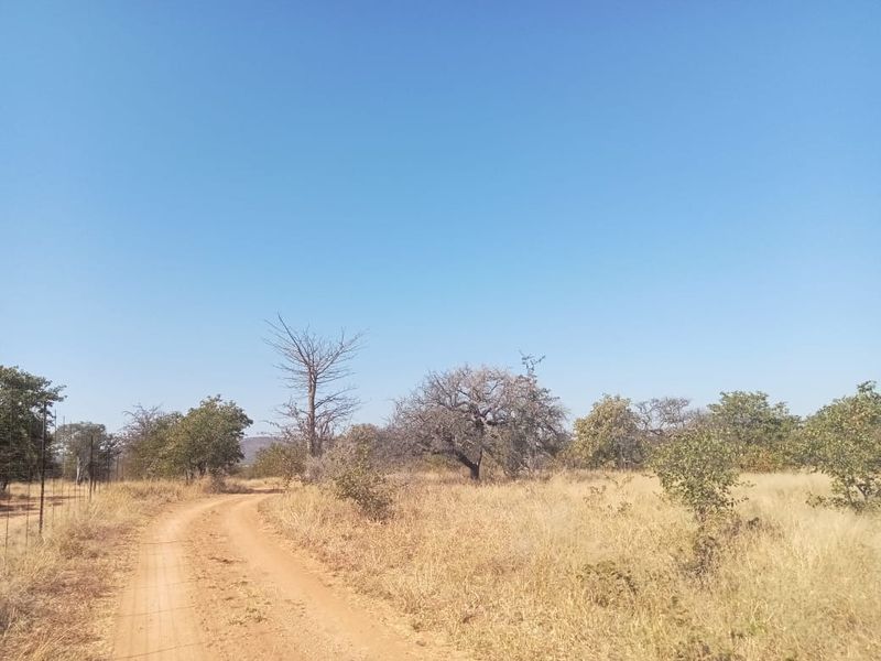 A scenic view of the farm landscape featuring a dirt access road and natural vegetation under a clear blue sky.