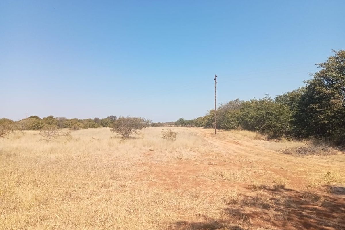 SMALL SCALE FARMING OR AN EXCITING WEEKEND GETAWAY - Photo 5