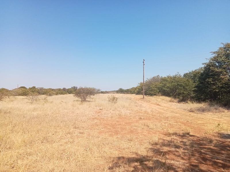 An expansive open field on the farm property featuring natural dry grass, indigenous trees, and a utility pole along a dirt track.