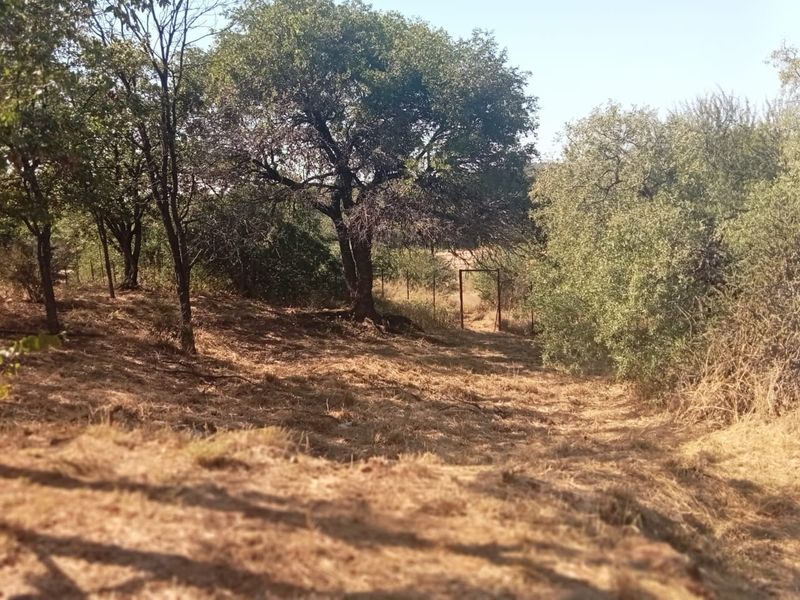 A view of the natural farm landscape featuring mature trees, dry grass, and perimeter wire fencing with a metal gate.