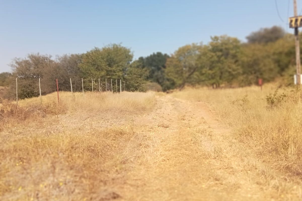 A view of a rural dirt track on the property, featuring a wire fence boundary and surrounding natural vegetation.