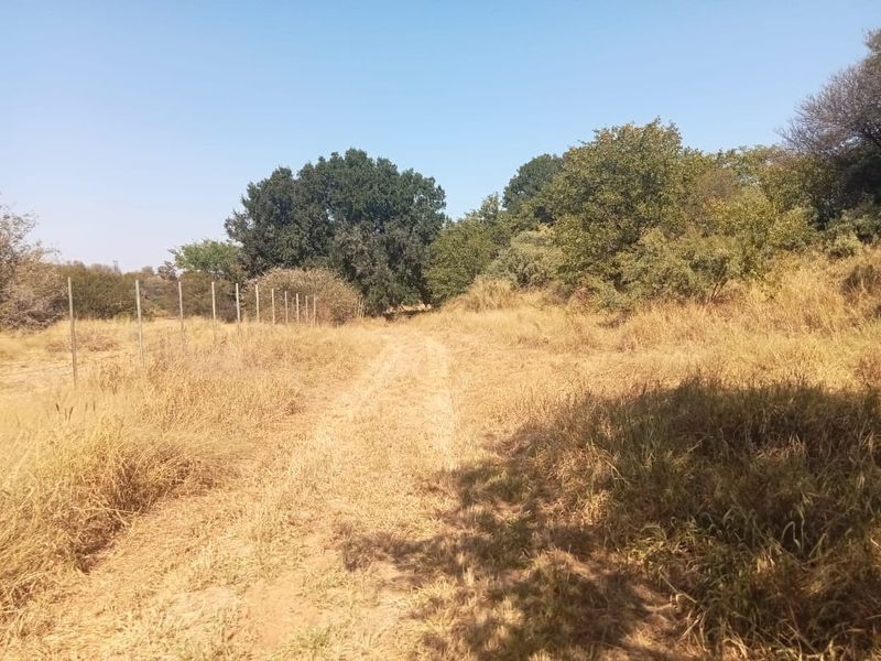 A view of a rural farm landscape featuring a dirt track, natural vegetation, and a wire boundary fence.