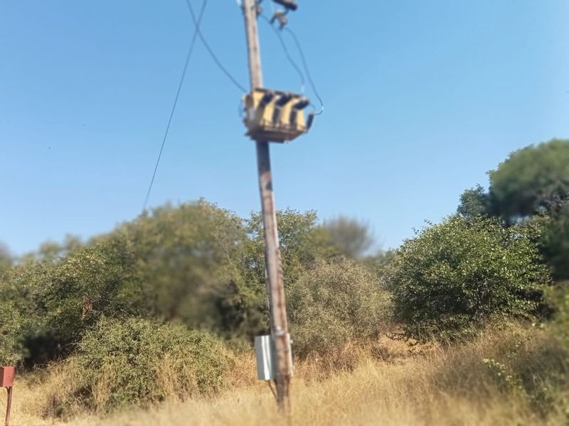 A view of an electrical utility pole with a transformer located on the property grounds.