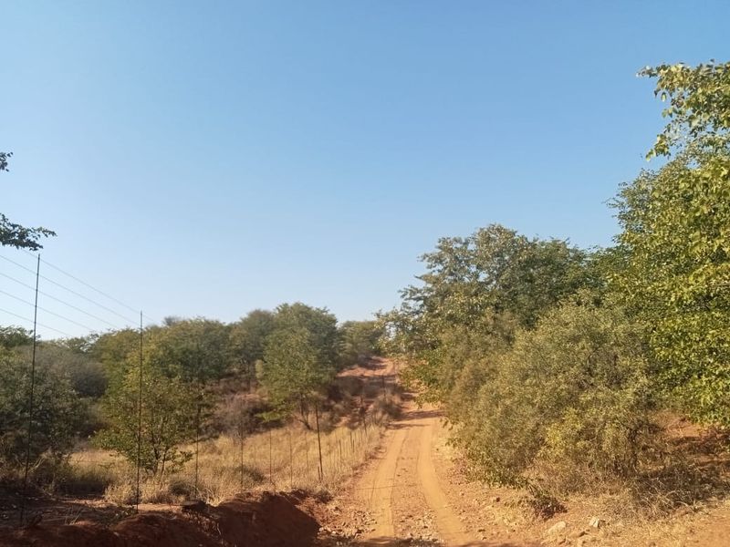 A view of a rural dirt track winding through natural bushveld landscape, enclosed by wire fencing on a farm property.