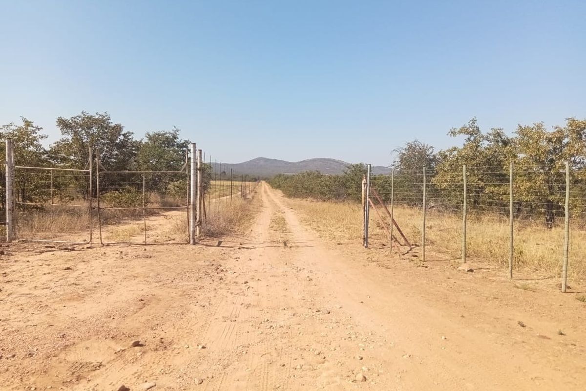 SMALL SCALE FARMING OR AN EXCITING WEEKEND GETAWAY - Photo 4