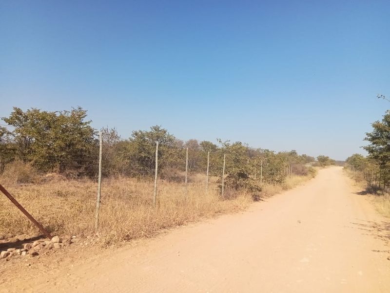 A view of a dirt access road bordered by a wire fence and natural bushveld vegetation on a farm property.