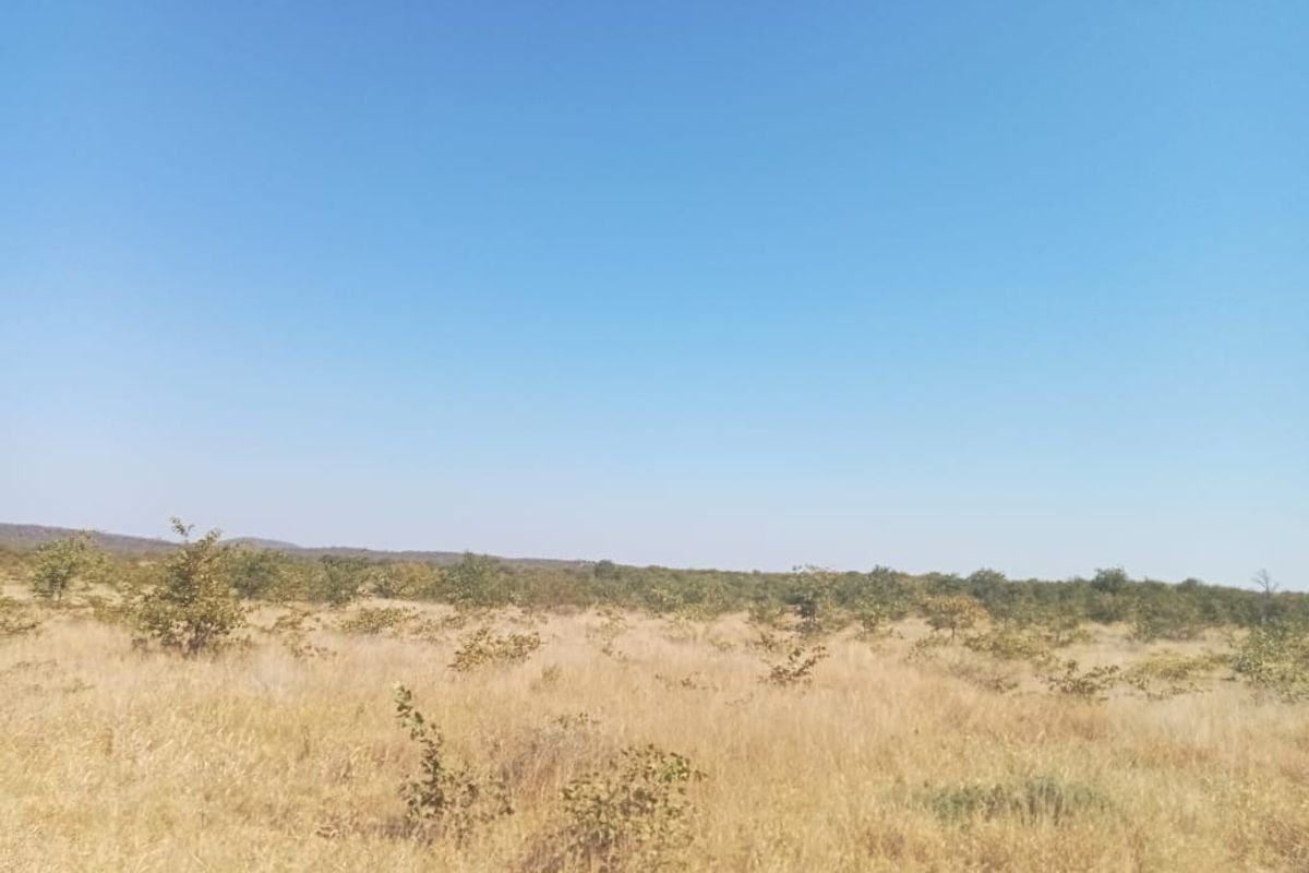 SMALL SCALE FARMING OR AN EXCITING WEEKEND GETAWAY - Photo 3