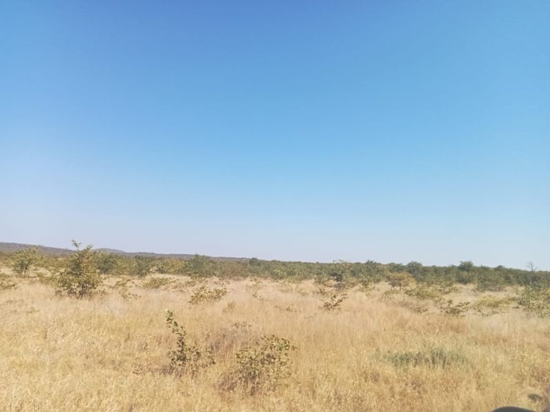 A wide-angle view of the expansive, dry natural landscape and open veld characteristic of the farm property.