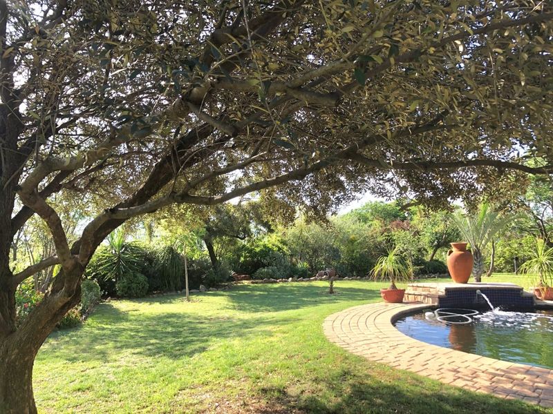 A lush, well-maintained garden featuring a mature tree canopy, a brick-paved pool area, and a built-in water feature.