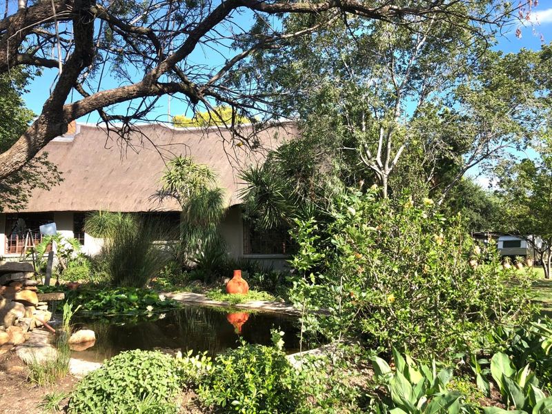 A lush, established garden featuring a tranquil pond, mature trees, and a view of the property's thatched roof dwelling.