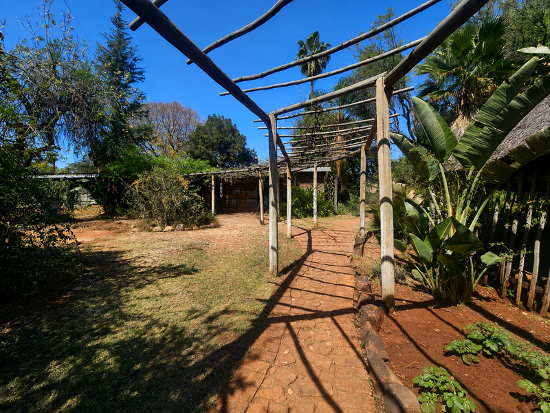 A garden pathway featuring a rustic wooden pergola structure leading towards the property entrance, surrounded by established trees and landscaped garden beds.