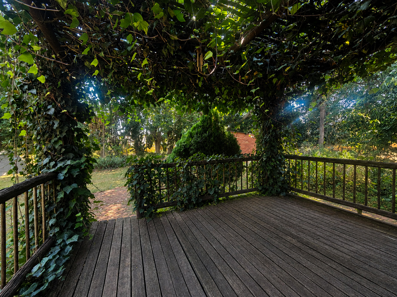 A rustic timber deck patio featuring a pergola structure covered in climbing ivy, overlooking a garden area.