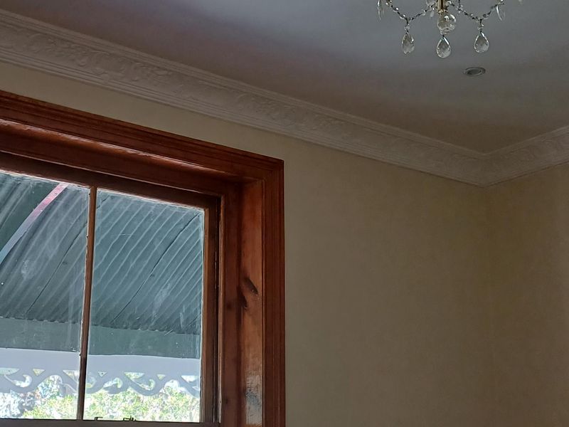 A bright office space featuring a classic ornate ceiling rose, decorative cornice, and a timber-framed sash window overlooking a veranda.