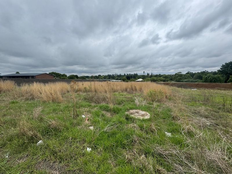 A view of a vacant commercial land plot featuring natural grass cover and a concrete utility access cover.