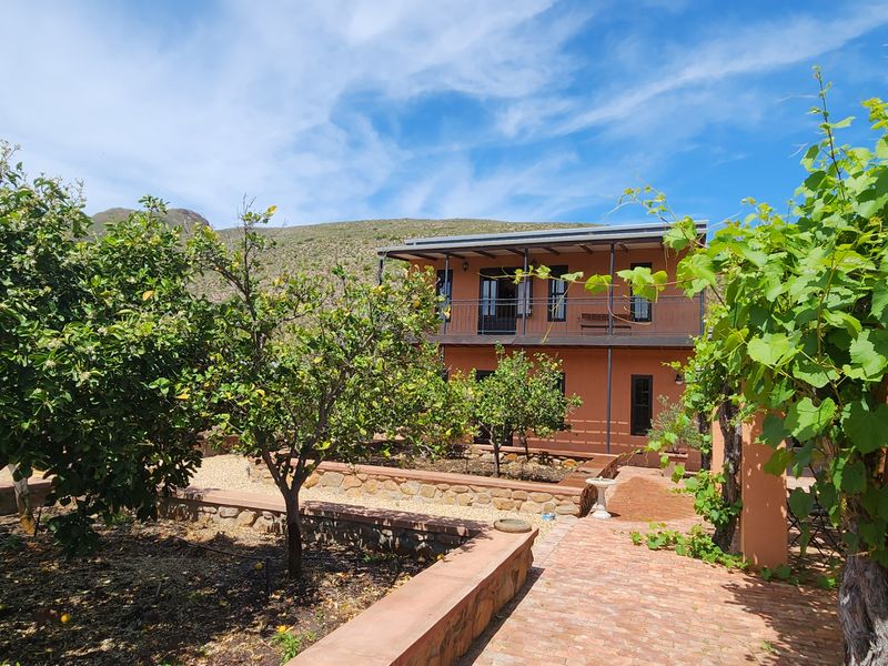 Olive and guest farm for sale between Worcester and Robertson - Photo 9