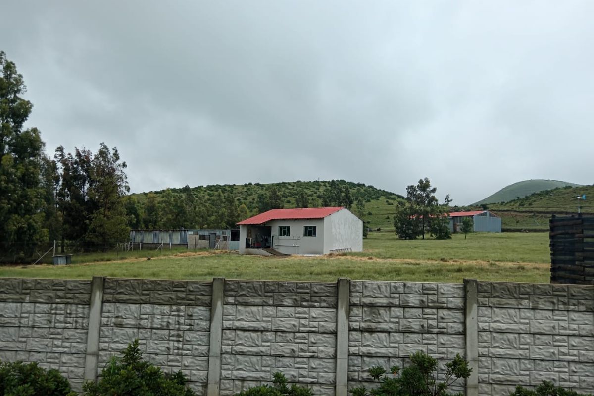 A view of the farm property featuring a main dwelling with a red roof, surrounding outbuildings, and a precast concrete boundary wall.
