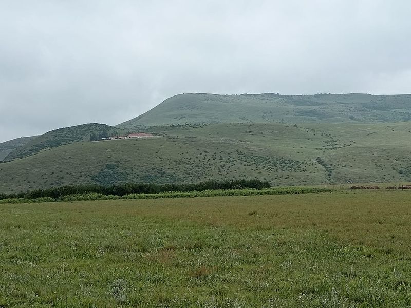 Executive livestyle farm for sale - Photo 3
