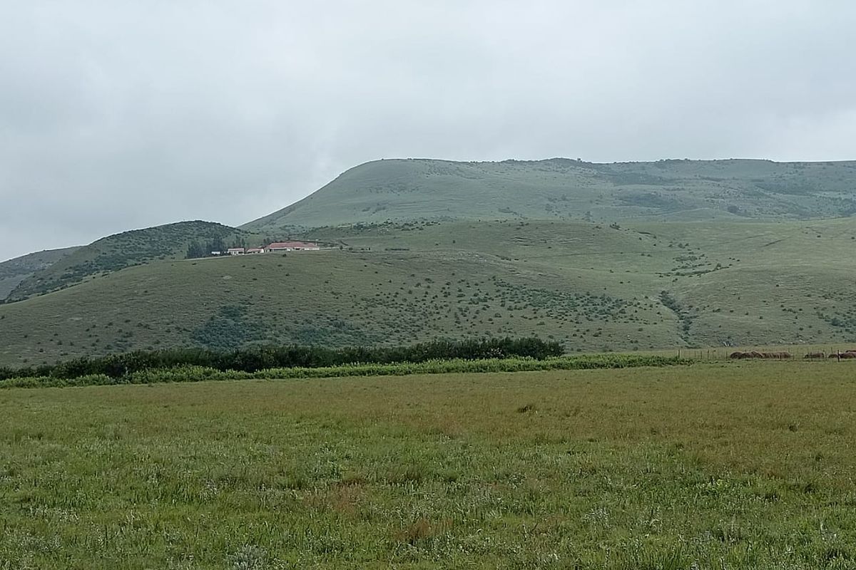 Executive livestyle farm for sale - Photo 3