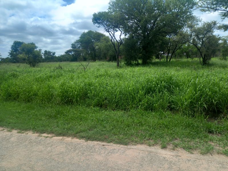 The last large commercial property available in Hectorspruit! - Photo 3