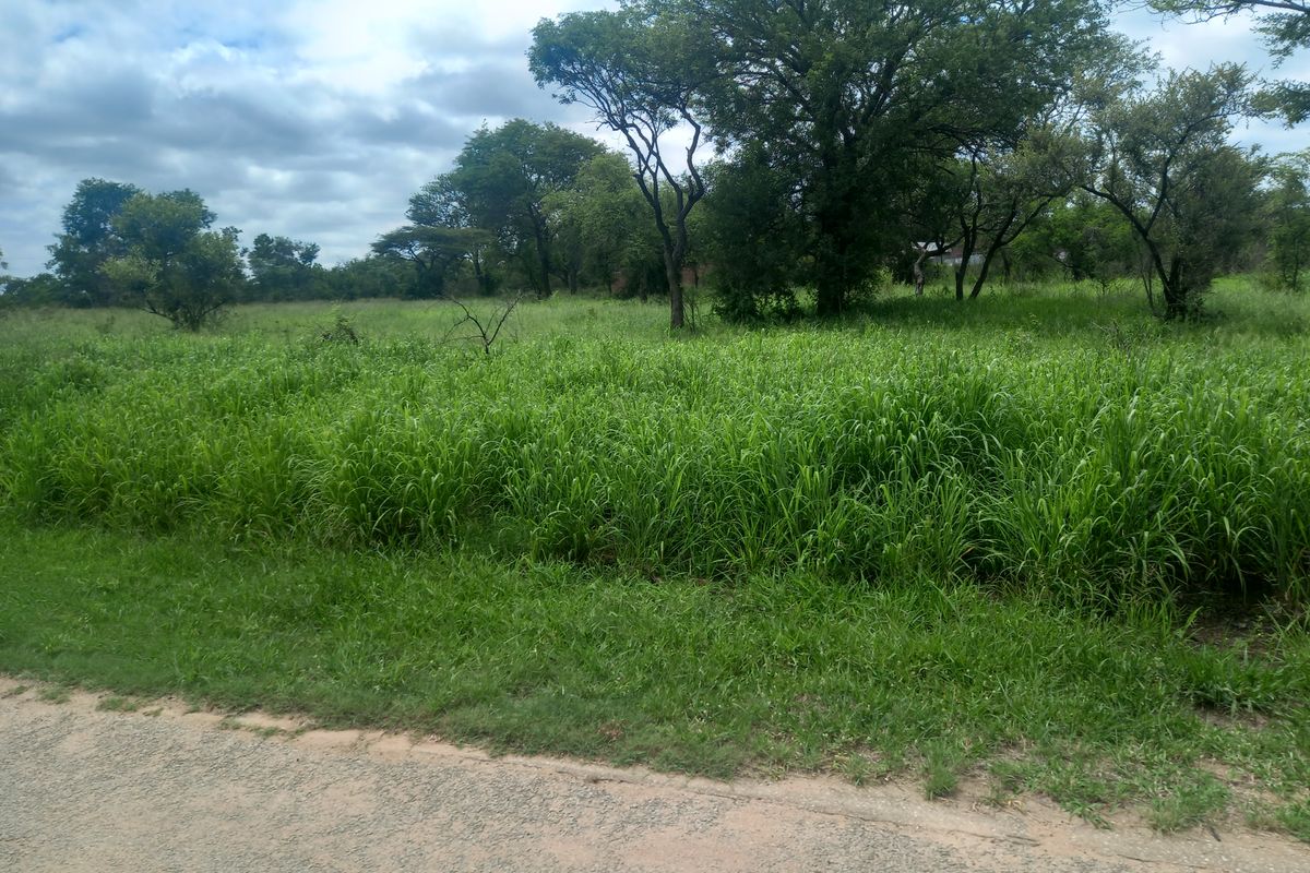 The last large commercial property available in Hectorspruit! - Photo 3