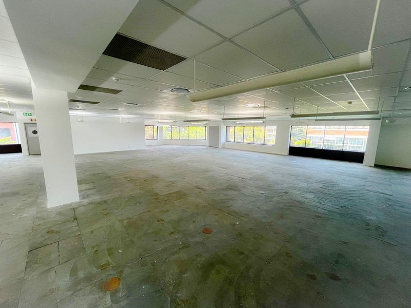 Commercial office space/building to rent in Parktown - Photo 6